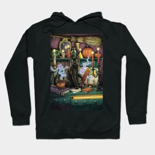 Everyday Witch's Familiars Oracle - The Cat Hoodie